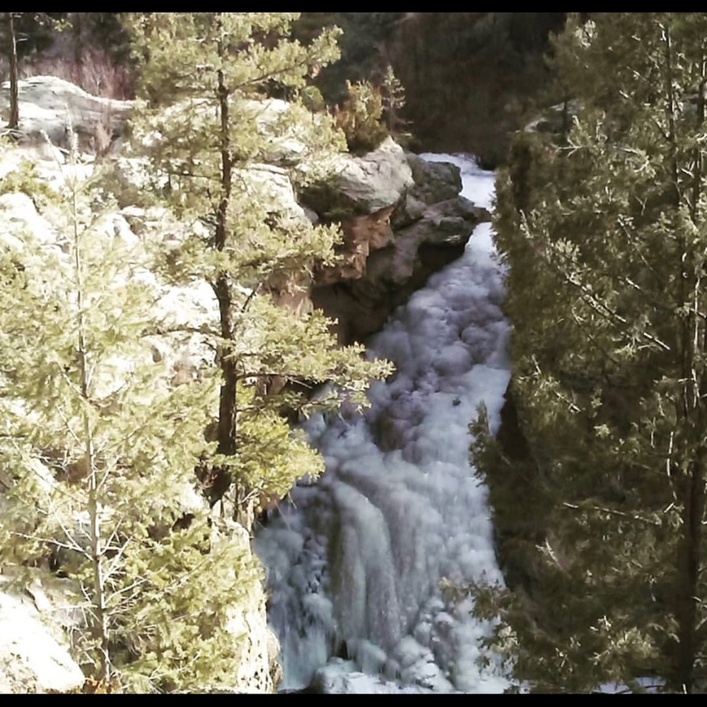 Meet your Posher, Norma